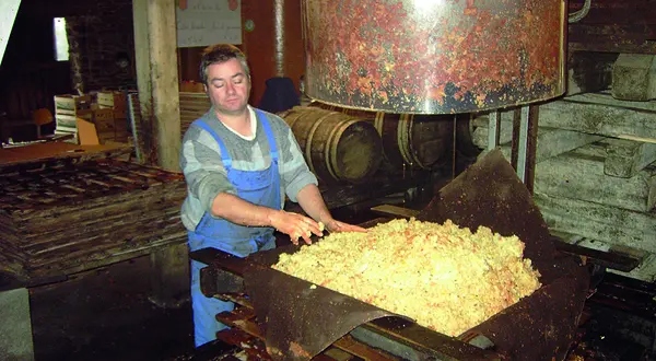 La cidrerie Janty, à Condat-sur-Ganaveix