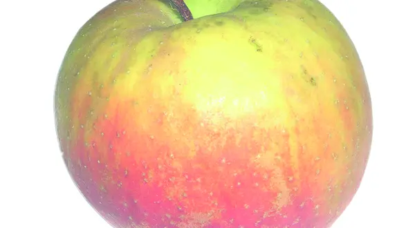 « Pom, pom, pom, pommes » : le dossier du n°8