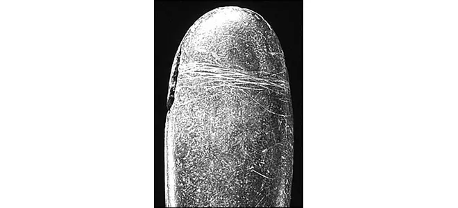 Le dildo préhistorique : une histoire ancienne