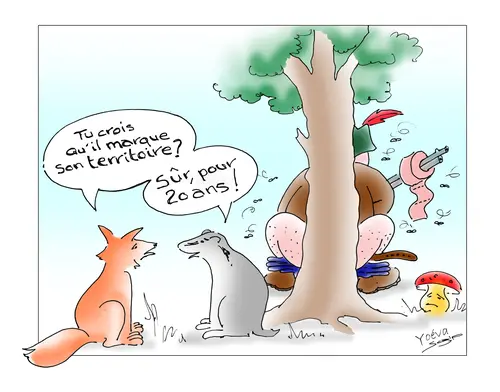 Le territoire de chasse
