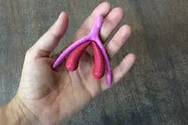 Le clitoris en 3D