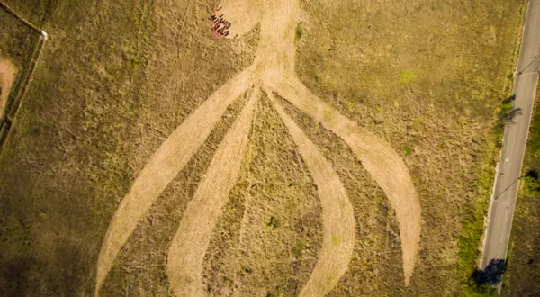 « Omerta sur le clitoris » : le crop circle