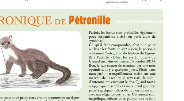 La chronique de Pétronille