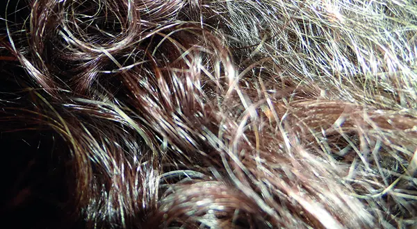 « Oh, mais quelle belle touffe ! » : le bicarbonate et les cheveux