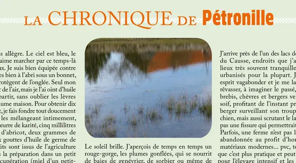 La chronique de Pétronille