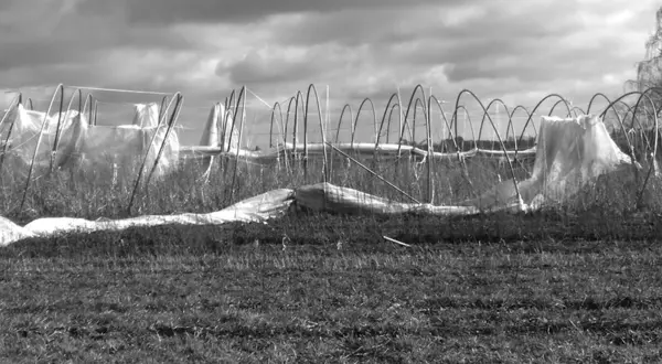 La ferme du Sézelard après la tempête