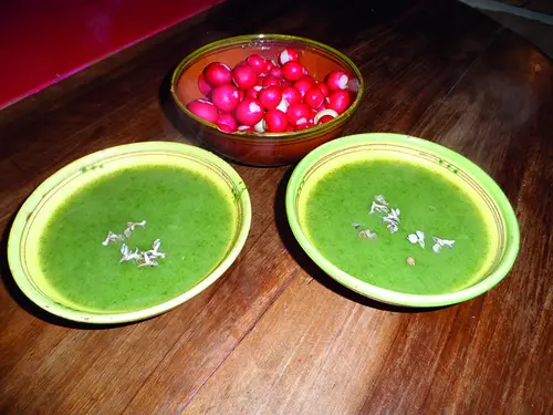 La soupe aux fanes de radis de Paulette