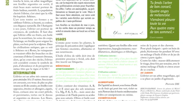 La chronique de Pétronille