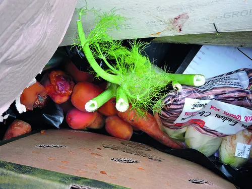 Des fruits et légumes à la poubelle