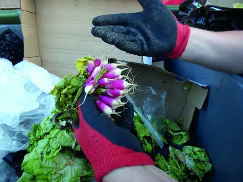 Le compostage selon Intermarché