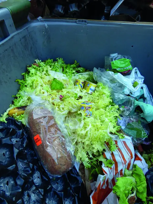 Dans les poubelles en face de Leclerc