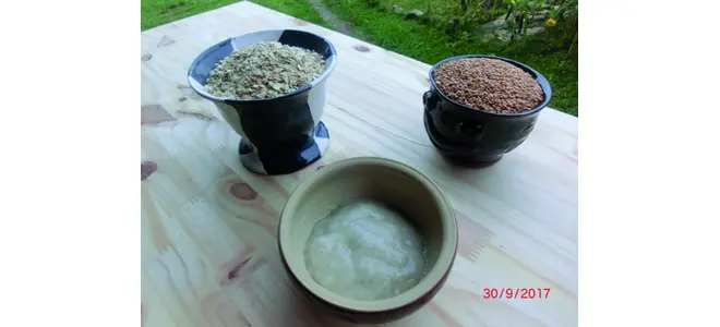 L’après-shampoing à l’avoine et au lin de Gertrude