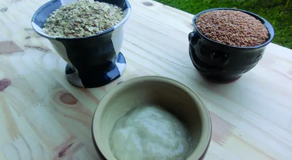 L’après-shampoing à l’avoine et au lin de Gertrude