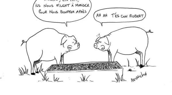 La revanche du gagnon : les cochons de La Tournerie