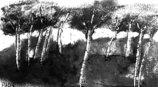 L’usine à pellets de Bugeat