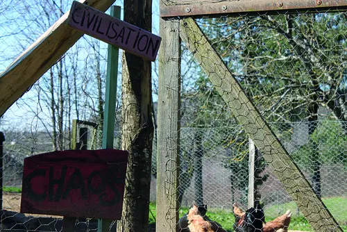 Les activités du Battement d’ailes