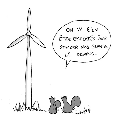 Les éoliennes et les oiseaux