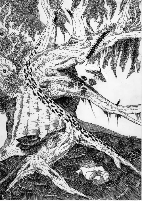 Un arbre vivant