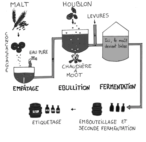 Le schéma de fabrication de la bière