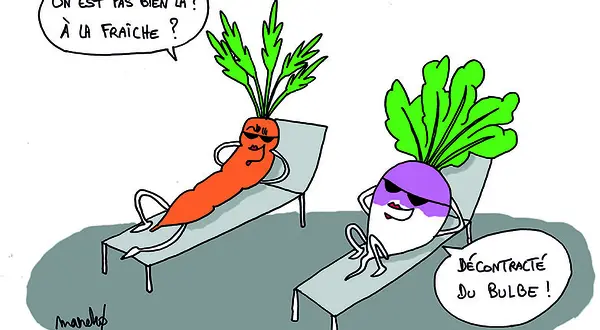 Maraîchers à sec ?