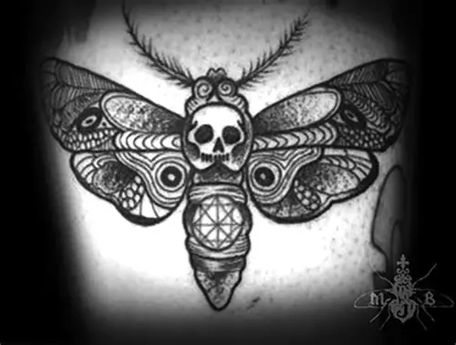 Le nœud papillon virus