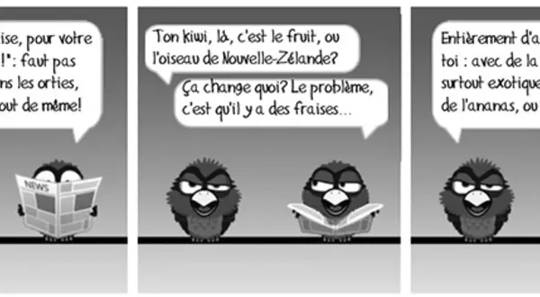 Tomates au ski : les collégiens reporters