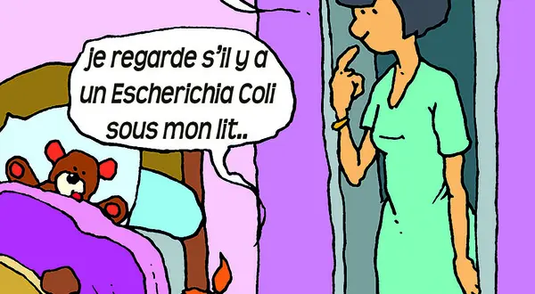 Con-Fus : le site des gravières