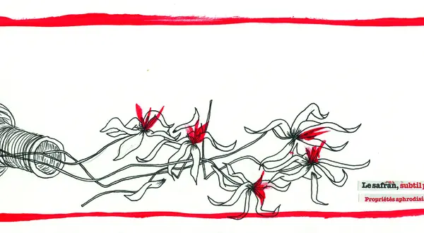 « Virginie et Paul »