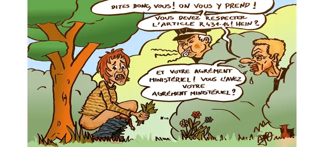 Phyto-épuration : faire soi-même ?