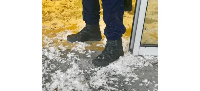 Picoti, picota… Enferme tes volailles et — La Trousse corrézienne n°45
